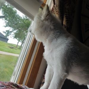 Meet your Posher, Kim